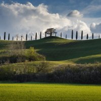 Тоскана :: Алекс Римский Тоскана :: Алекс Римский