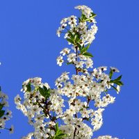 ** :: Vlad Сергиевич