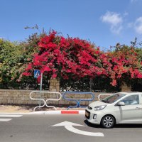 По дороге домой :: Светлана Хращевская