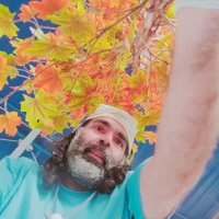 12  КЛОС (1115) :: CLOSE WAYS ALL