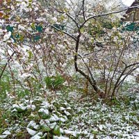 2 мая 2025 г. :: veilins veilins 2 мая 2025 г. :: veilins veilins