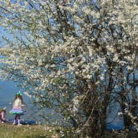 День рождения :: Всеволод День рождения :: Всеволод