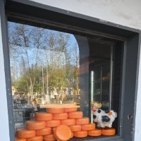 Сырная биржа) :: Митяй Митрич