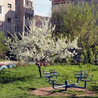 весна в городе :: Ольга 