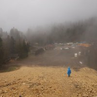 Адыгея, Яворова поляна :: Evgeny Mameev