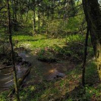 ***** :: юрий поляков