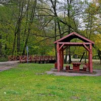 Кузьминский парк :: Игорь Белоногов