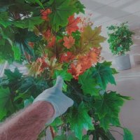 12  КЛОС (1116) :: CLOSE WAYS ALL