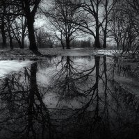 На пути к оз. Глубокое... :: Владимир Шошин На пути к оз. Глубокое... :: Владимир Шошин