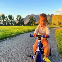 ТРЁХКОЛЁСНЫЙ   КОНЬ :: Анатолий Малобродский