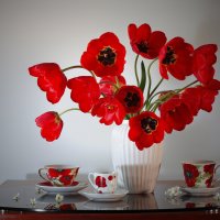 Майское утро :: Olenka Майское утро :: Olenka