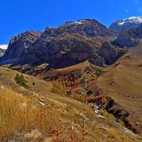 ПО ДОРОГЕ ДОМОЙ. :: Виктор Осипчук