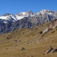 ПО ДОРОГЕ ДОМОЙ. :: Виктор Осипчук