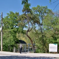 Весенний пейзаж с ротондой :: Валентин Семчишин