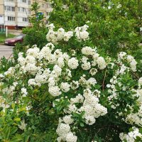 ,,, :: Сергей Тимоновский