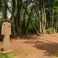 Вдоль буков... :: Николай Гирш