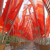 Предпраздничная Москва. :: Pippa 