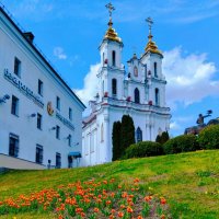 Витебск в мае :: Галина Бобкина