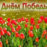 С 80-тилетием Великой Победы! :: Светлана 