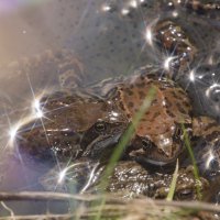 Опекая будущее :: Lyubov Busova