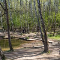 ___ :: Yuriy V ___ :: Yuriy V