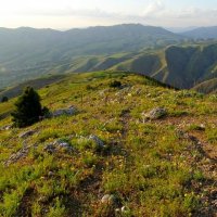 НАШИ ПРОГУЛКИ. :: Виктор Осипчук