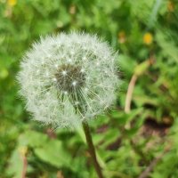 ,,, :: Сергей Тимоновский