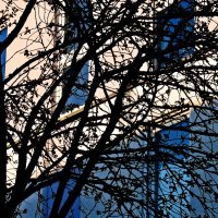 Весенние зарисовки 124 :: Алексей Кузнецов