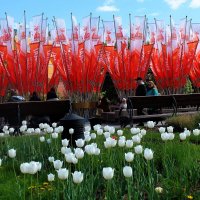 Праздничная столица. :: Татьяна Помогалова Праздничная столица. :: Татьяна Помогалова