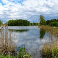 Смоленщина в мае :: Милешкин Владимир Алексеевич Смоленщина в мае :: Милешкин Владимир Алексеевич