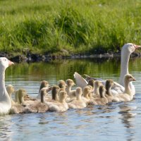 Детский садик. Водные процедуры ... :: Maxxx©  