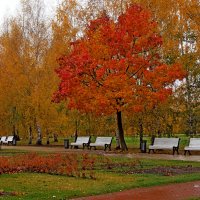 Царицыно :: Игорь Белоногов