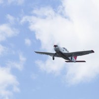 09.05.2025 :: Пасечник 