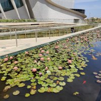 " :: Светлана Хращевская