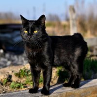 Вот и утро наступило ... :: Евгений Хвальчев