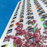 Цветёт яблоня в городе :: Валерий Иванович