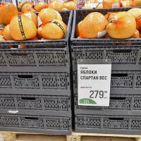 Такие вот яблоки крупные растут в Сербии :: Валерий Иванович