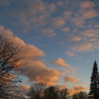 Майским вечером :: Людмила Смородинская