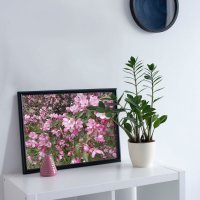 Весна на память :: Alisia La DEMA