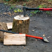 Для мангала :: Игорь Сикорский