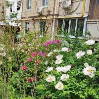 ,,, :: Сергей Тимоновский