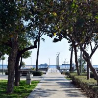 Парк :: Oleg4618 Шутченко Парк :: Oleg4618 Шутченко