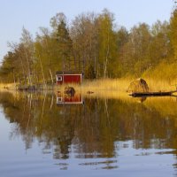 В зеркале майского вечера :: liudmila drake