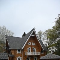 Терем снегрки) :: Митяй Митрич