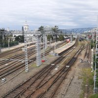 СОЧИ :: Tata Wolf