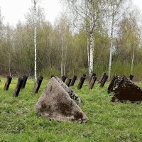 Участок оборонительного рубежа &#39;Ижора" :: Наталья Герасимова