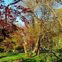 Парк Таммсааре в красивый солнечный день мая 2025г. :: Aida10 