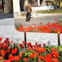 Оглянись, незнакомый прохожий! Ещё не все песни спеты. :: Татьяна Помогалова
