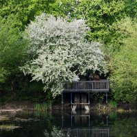 Весна в Ботаническом... :: Наташа *****