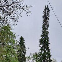 ,,, :: Сергей Тимоновский